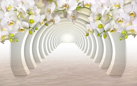 обои для стен бумажные