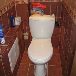 ремонт в туалете фото