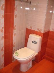 ремонт в туалете фото