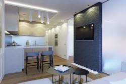 ремонт однокомнатной квартиры фото дизайн 40