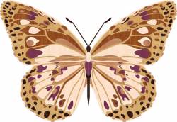 ремонт таунхаусов под ключ цена